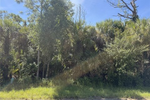 Land in North Port, Florida № 2394054