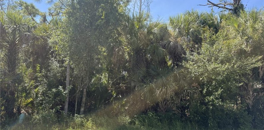 Land in North Port, Florida № 2394054