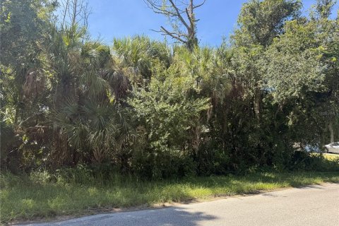 Land in North Port, Florida № 2394054 - photo 2