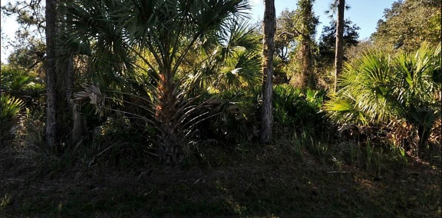 Terreno en North Port, Florida № 2233116