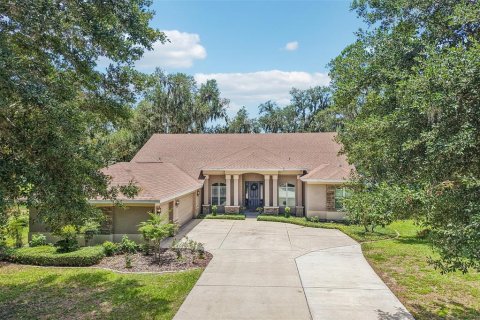 House in Riverview, Florida 5 bedrooms, 348.48 sq.m. № 2234225