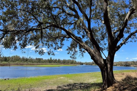 Villa ou maison à vendre à Riverview, Floride: 5 chambres, 348.48 m2 № 2234225 - photo 3