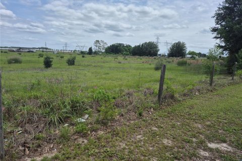 Terrain à vendre à Wildwood, Floride № 2213576 - photo 2