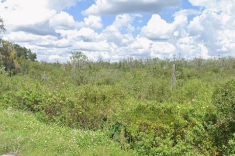 Land in Auburndale, Florida № 1653520 - photo 5