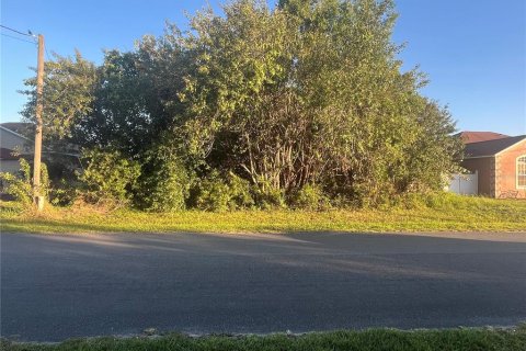 Land in Kissimmee, Florida № 1876873 - photo 3