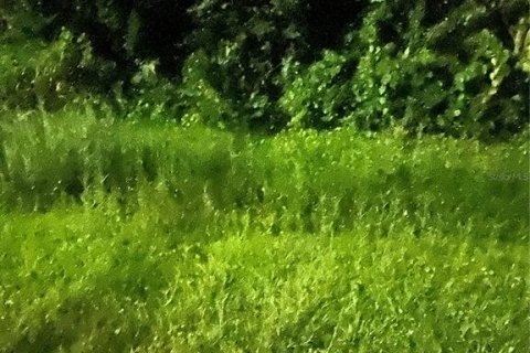 Land in Kissimmee, Florida № 1876873 - photo 2
