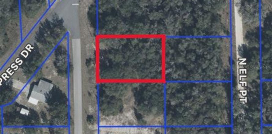 Terrain à Dunnellon, Floride № 2226582