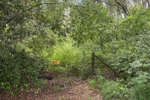 Land in Valrico, Florida № 1845220 - photo 6