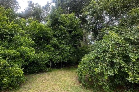 Land in Valrico, Florida № 1845220 - photo 10