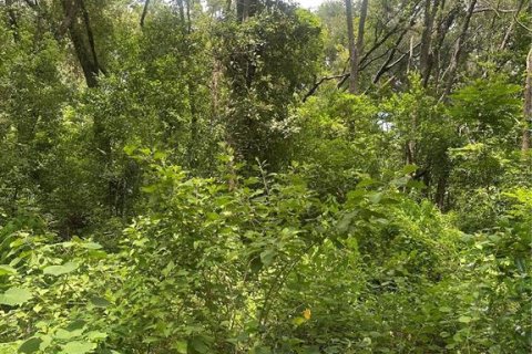 Land in Valrico, Florida № 1845220 - photo 5