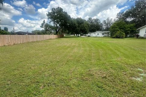 Land in Valrico, Florida № 1845220 - photo 1