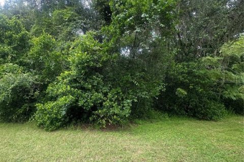 Land in Valrico, Florida № 1845220 - photo 11