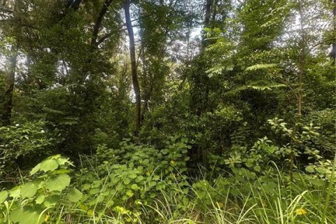 Land in Valrico, Florida № 1845220 - photo 2