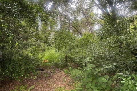 Land in Valrico, Florida № 1845220 - photo 7