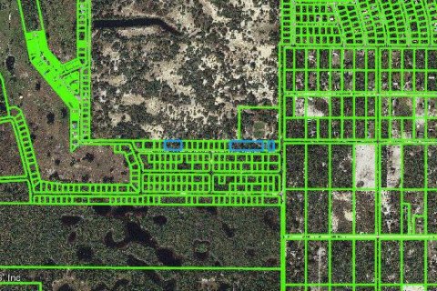 Land in Lake Placid, Florida № 584360 - photo 1