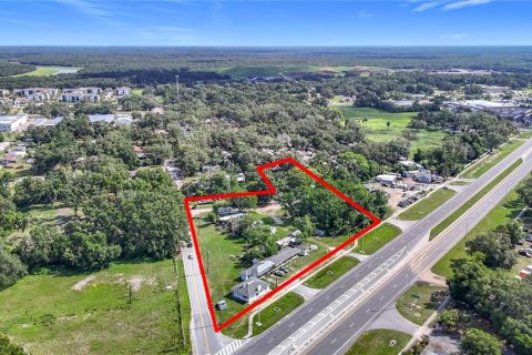 Land in Thonotosassa, Florida № 1791392 - photo 1