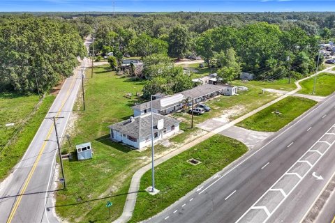 Land in Thonotosassa, Florida № 1791392 - photo 14