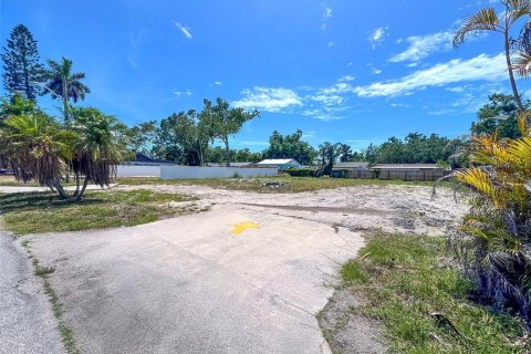 Land in Bradenton, Florida № 2092764 - photo 4
