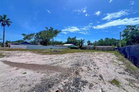 Land in Bradenton, Florida № 2092764 - photo 5