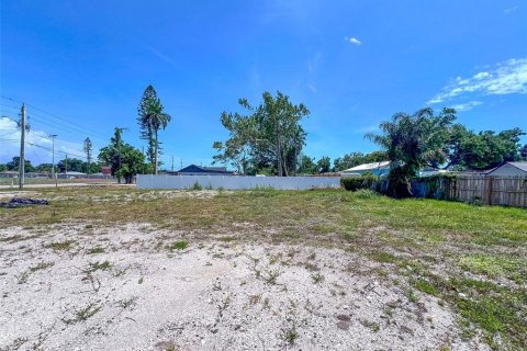 Land in Bradenton, Florida № 2092764 - photo 7