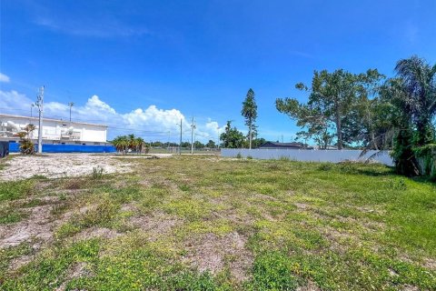 Land in Bradenton, Florida № 2092764 - photo 6