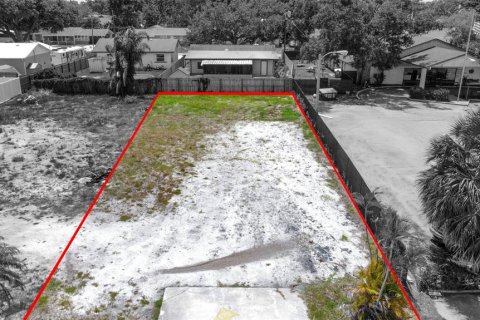 Land in Bradenton, Florida № 2092764 - photo 2
