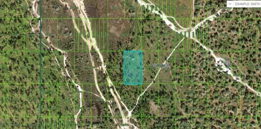 Terreno en Frostproof, Florida № 2164073