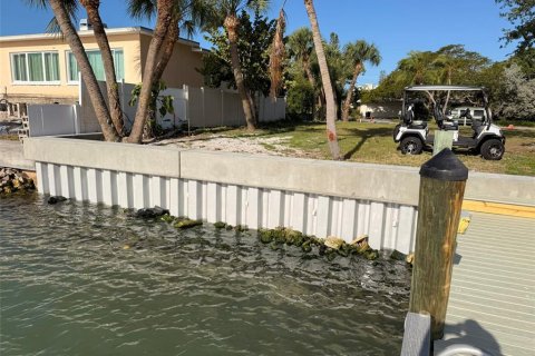 Land in Saint Pete Beach, Florida № 2141598 - photo 5