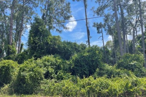 Land in North Port, Florida № 2195261 - photo 3