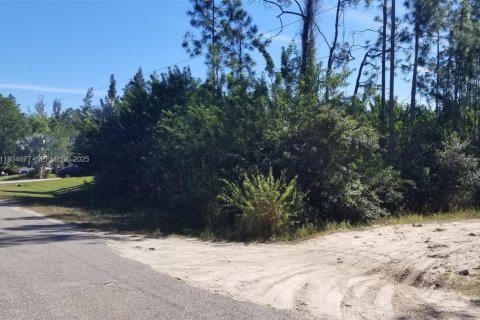 Terrain à Lehigh Acres, Floride № 2035714