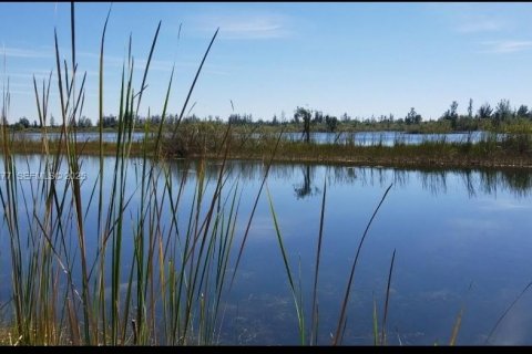 Terrain à vendre à Lehigh Acres, Floride № 2035714 - photo 3