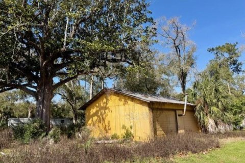 Terrain à Bell, Floride № 2103625