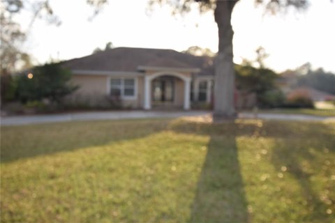 Casa en alquiler en Lady Lake, Florida, 3 dormitorios, 240.06 m2 № 1560635 - foto 2