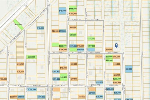 Land in DeLand, Florida № 2163740 - photo 3