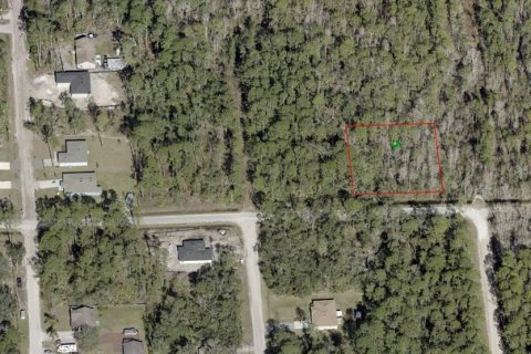 Land in DeLand, Florida № 2163740 - photo 2