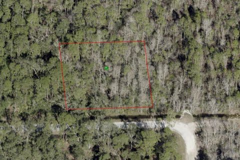 Land in DeLand, Florida № 2163740