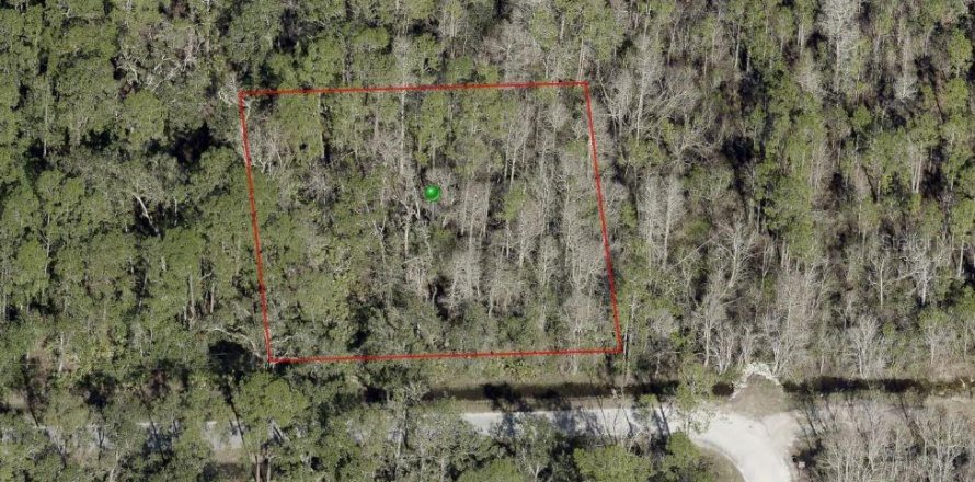 Land in DeLand, Florida № 2163740