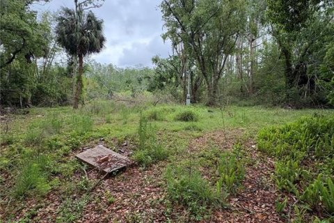 Land in Land O' Lakes, Florida № 1625962 - photo 1