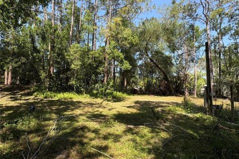 Land in Land O' Lakes, Florida № 1625962 - photo 18