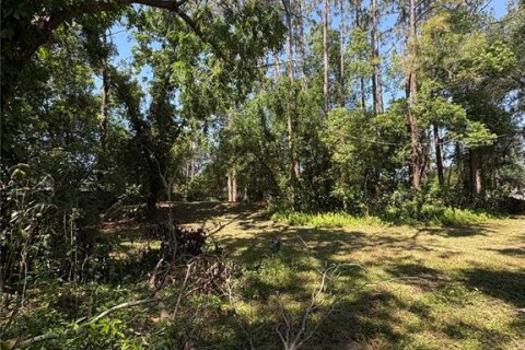 Land in Land O' Lakes, Florida № 1625962 - photo 17
