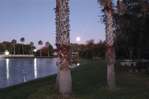 Villa ou maison à vendre à Tampa, Floride: 5 chambres, 353.03 m2 № 2125577 - photo 8