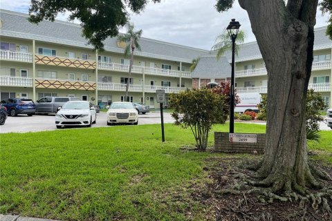 Condo in Clearwater, Florida, 1 bedroom  № 1819512 - photo 3