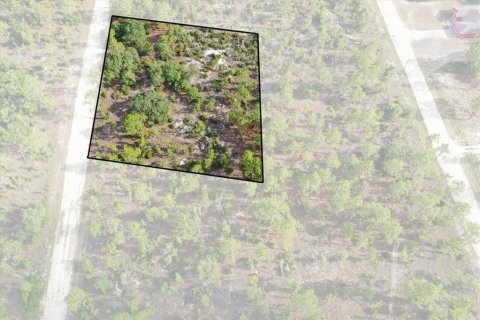 Terrain à Williston, Floride № 2208913