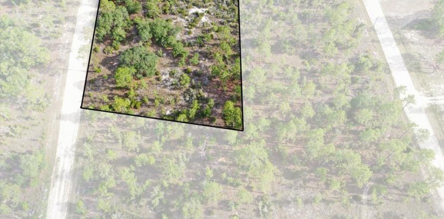 Terrain à Williston, Floride № 2208913