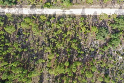 Terrain à vendre à Williston, Floride № 2208913 - photo 9