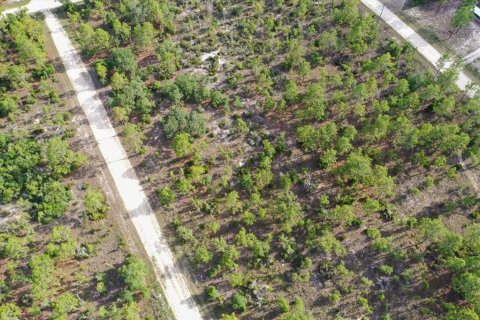 Terrain à vendre à Williston, Floride № 2208913 - photo 3