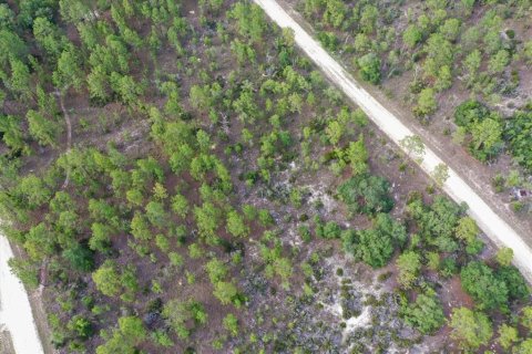 Terrain à vendre à Williston, Floride № 2208913 - photo 6