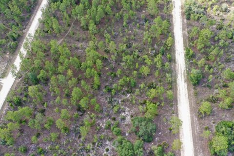 Terrain à vendre à Williston, Floride № 2208913 - photo 5