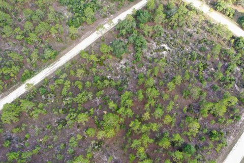 Terrain à vendre à Williston, Floride № 2208913 - photo 8