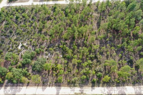 Terrain à vendre à Williston, Floride № 2208913 - photo 4